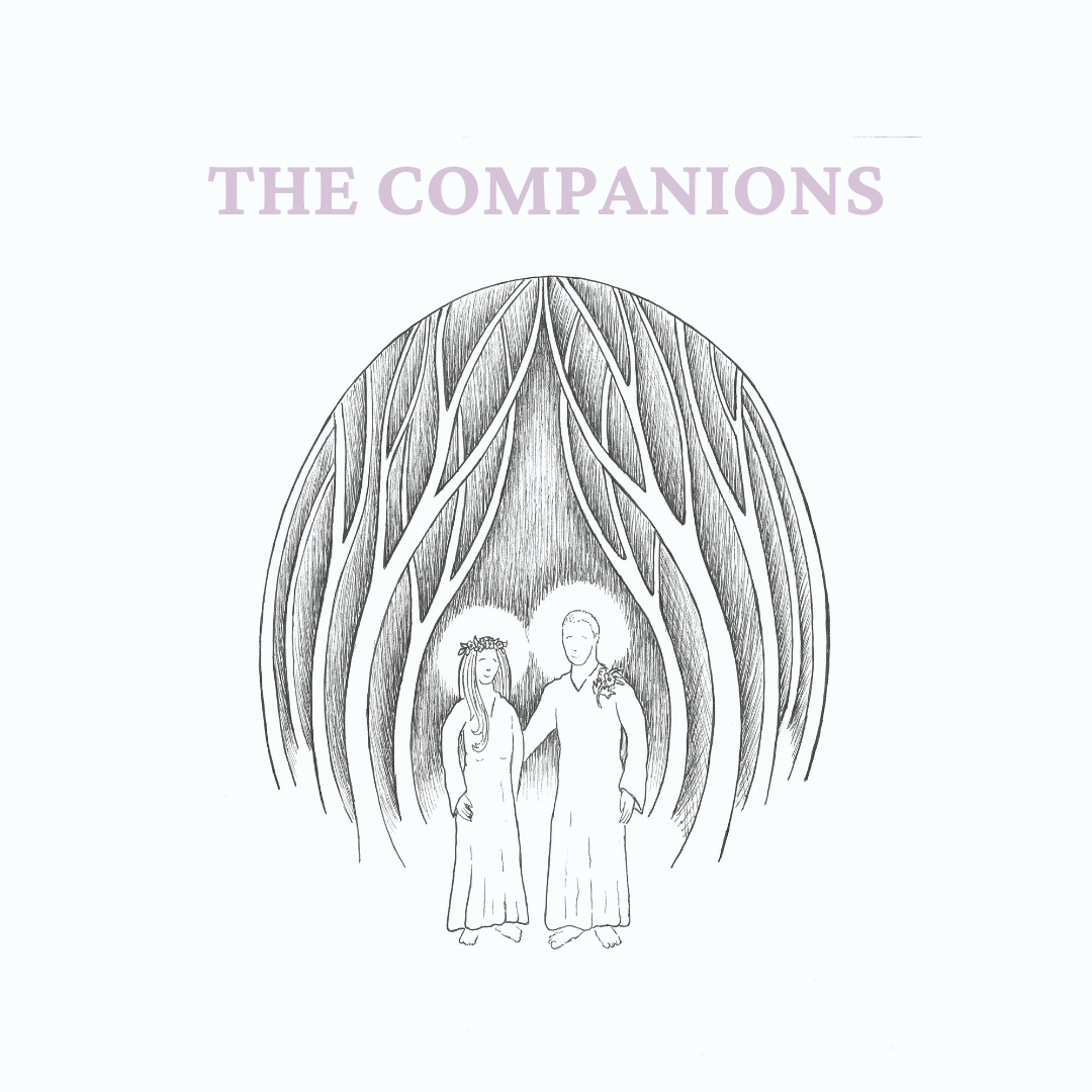 The Companions - Amethyst Living